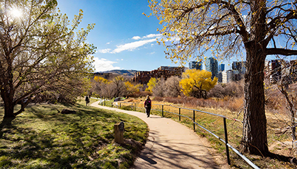 Cherry Creek Trail